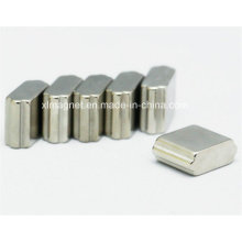 RoHS Pass Custom Step Shape N42 Magnet for Light Holder